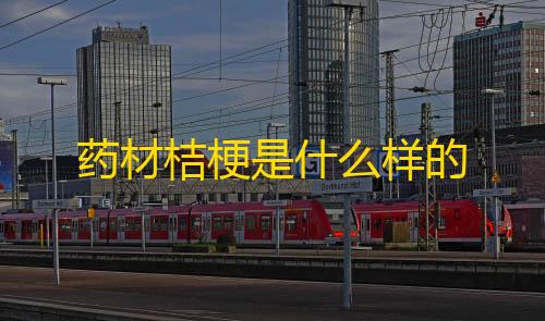 暗区买挂网址药材桔梗是什么样的